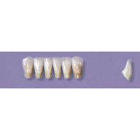MYERSON ANTERIORS #3/69 (1x6 CARD) Card