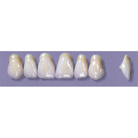 MYERSON ANTERIORS #A11/69 (1x6CARD) Card
