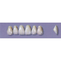 MYERSON ANTERIORS #A2/H (1X6 CARD) Card