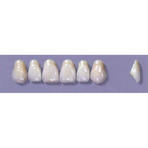 MYERSON ANTERIORS #A43/62 (1x6CARD) Card