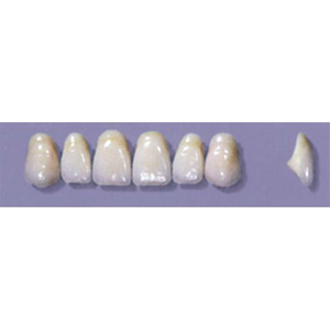 MYERSON ANTERIORS #A44/C (1x6 CARD) Card