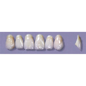 MYERSON ANTERIORS #A52/65 (1x6CARD) Card