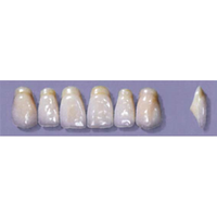 MYERSON ANTERIORS #A53/58 (1x6CARD) Card