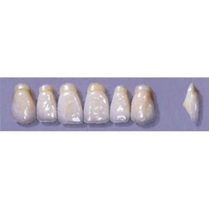 MYERSON ANTERIORS #A53/65 (1X6CARD) Card