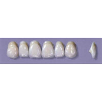 MYERSON ANTERIORS #A64/D (1x6 CARD) Card