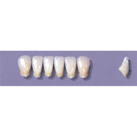 MYERSON ANTERIORS #A71/73 (1x6CARD) Card