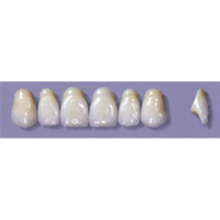 MYERSON ANTERIORS #A72/F (1x6 CARD) Card