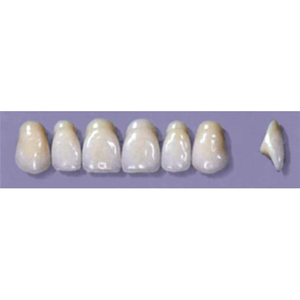 MYERSON ANTERIORS #A72/H (1x6 CARD) Card