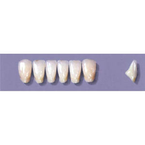 MYERSON ANTERIORS #A73/C (1x6 CARD) Card