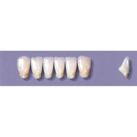 MYERSON ANTERIORS #A73/G (1x6 CARD) Card