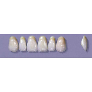 MYERSON ANTERIORS #A7/60 (1x6 CARD) Card