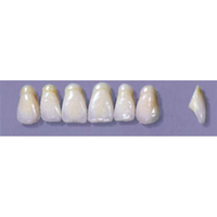MYERSON ANTERIORS #A9/C (1x6 CARD) Card