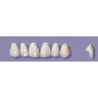 MYERSON ANTERIORS #PM2/62 (1x6CARD) Card
