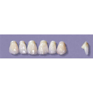 MYERSON ANTERIORS #PM2/C (1x6 CARD) Card