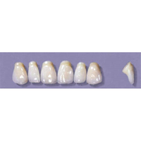 MYERSON ANTERIORS #PM4/E (1x6 CARD) Card