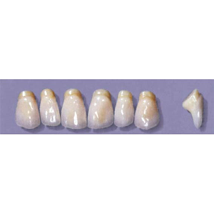 MYERSON ANTERIORS #PM6/69 (1x6CARD) Card