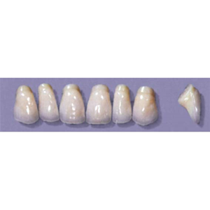 MYERSON ANTERIORS #PM8/G (1x6 CARD) Card