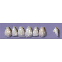 MYERSON ANTERIORS #PW2/E (1x6 CARD) Card