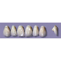 MYERSON ANTERIORS #PW4/73 (1x6CARD) Card