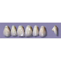 MYERSON ANTERIORS #PW4/D (1x6 CARD) Card
