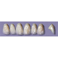 MYERSON ANTERIORS #PW6/58 (1x6CARD) Card