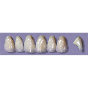 MYERSON ANTERIORS #PW6/H (1x6 CARD) Card