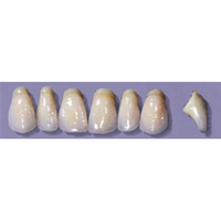 MYERSON ANTERIORS #PW8/65 (1X6CARD) Card