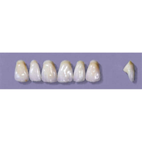 MYERSON ANTERIORS #YM3/C (1x6 CARD) Card