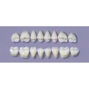 MYERSON DURA POST #28L/62 (1x8CARD) Card
