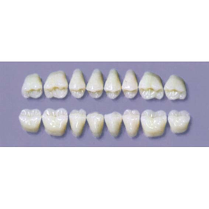 Myerson Dura Post #30SLL/C (1X8 Card) Each Card