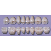MYERSON DB SYN POST #32LU/62 (1x8 CARD) Card