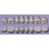 MYERSON DB SYN POST #34ML/60 (1x8 CARD) Card