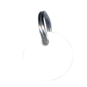 Pet Name Disc, 28 mm, 1+1/8 inches, Each