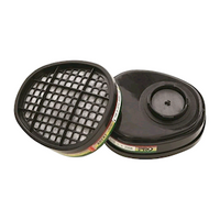 ProChoice Cartridge Filter, ABEK1, Fits P2 ProChoice Maxi Mask 2000TM, Pair Each