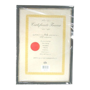 Photo Frame Black and Hanging Hook, 210 x 297mm, Silver Trim, Each (490052) Each