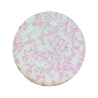 Livingstone Premium Top Level Prepared Slide, Blood Smear, Anaemia, Giemsa Stain, Each Each