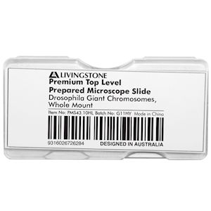Livingstone Premium Top Level Prepared Slide, Drosophila Giant Chromosomes, Whole Mount, Each Each