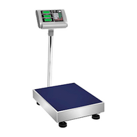 Digital Electronic Stainless Steel Platform Scale with LCD Monitor, 300kg Capacity, Each Each