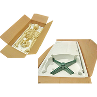 Skeleton Std Stan W/Pelvic Mouunted Roller Stand 170cm 4 FT Each
