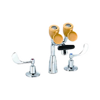 Speakman Classic Faucet, with Integrated Eyewash, Swivel Tap, Stainless Steel, Each Each
