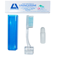 Livingstone Travel Toothbrush with Toothpaste, 1/Pack, 432 Packs/Carton Carton