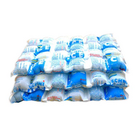 Techniice Reusable Dry Ice Packs, 4-Ply, 25 x 40cm, 1 Sheet, 24 Individual Cells, Each 1