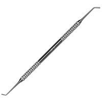 Thompson Ladmore Burnisher S/steel #3 Each