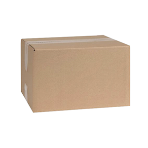 Livingstone Shipping Carton, 280(W) x 200(D) x 210(H) mm, Brown, Each Each