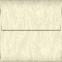 ENV. 110X220MM PARCHTONE AGED DL 25/PK Pack