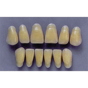 ULTRADENT ANT. 1N/62 LOWER (1x6 CARD) Card