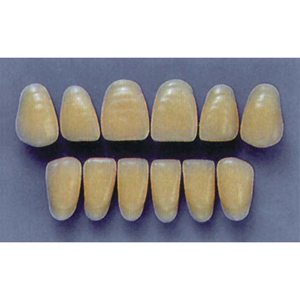 ULTRADENT ANT. 4H/62 LOWER (1x6 CARD) Card