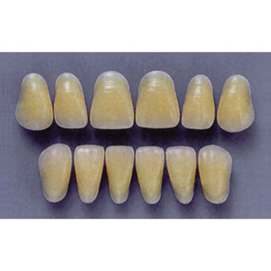 Ultradent Lower Anterior, A26/59, (1X6 Card), Each Card
