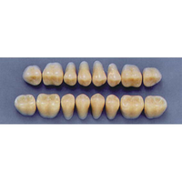 ULTRADENT POST. 29L/A2 UPPER (1x8 CARD) Card