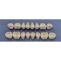 ULTRADENT POST. 29M/66 UPPER (1x8 CARD) Card